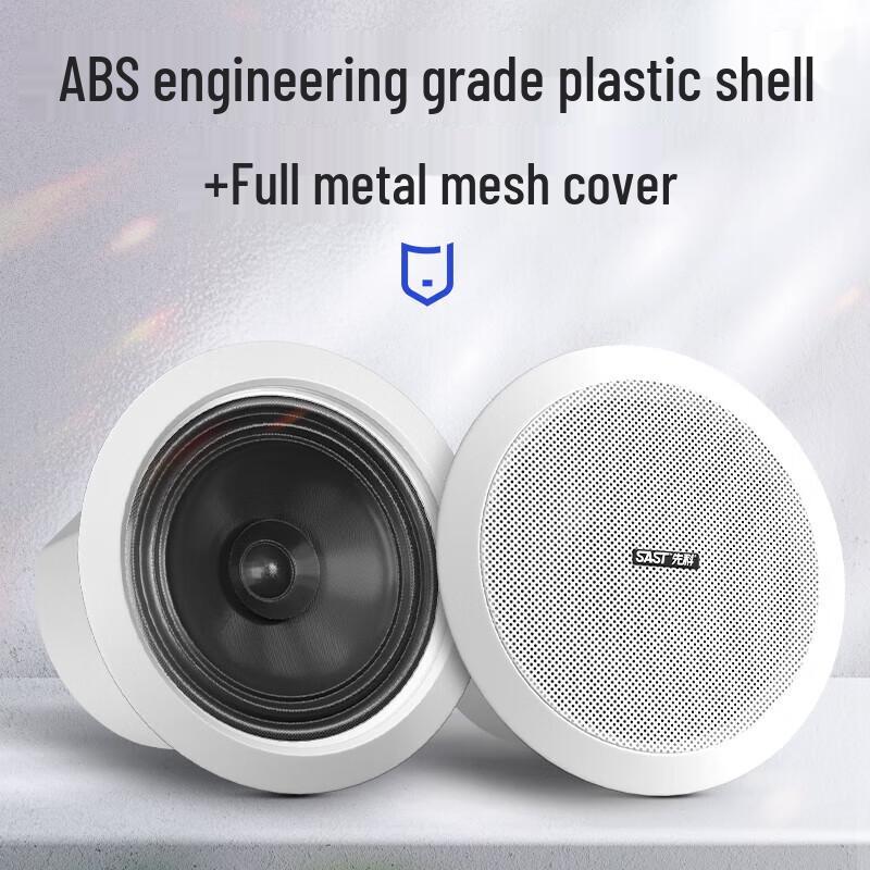 SAST D30 Wireless Bluetooth Embedded Ceiling Speaker System