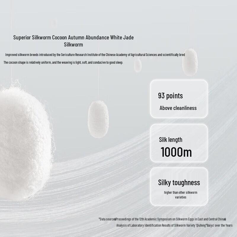 Mercury Home Textiles Mulberry Silk Quilt