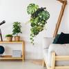 Tropical Green Plants for Bedroom, Living Room, Entrance Hall, Home Decoration, Wall Beautification, Wall Stickers