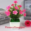 Plastic Sasanqua Camellia Botanical Potted Plant For Gift And Decor Interior