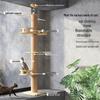 Aomengming Cat Climbing Tree with Observation Tower