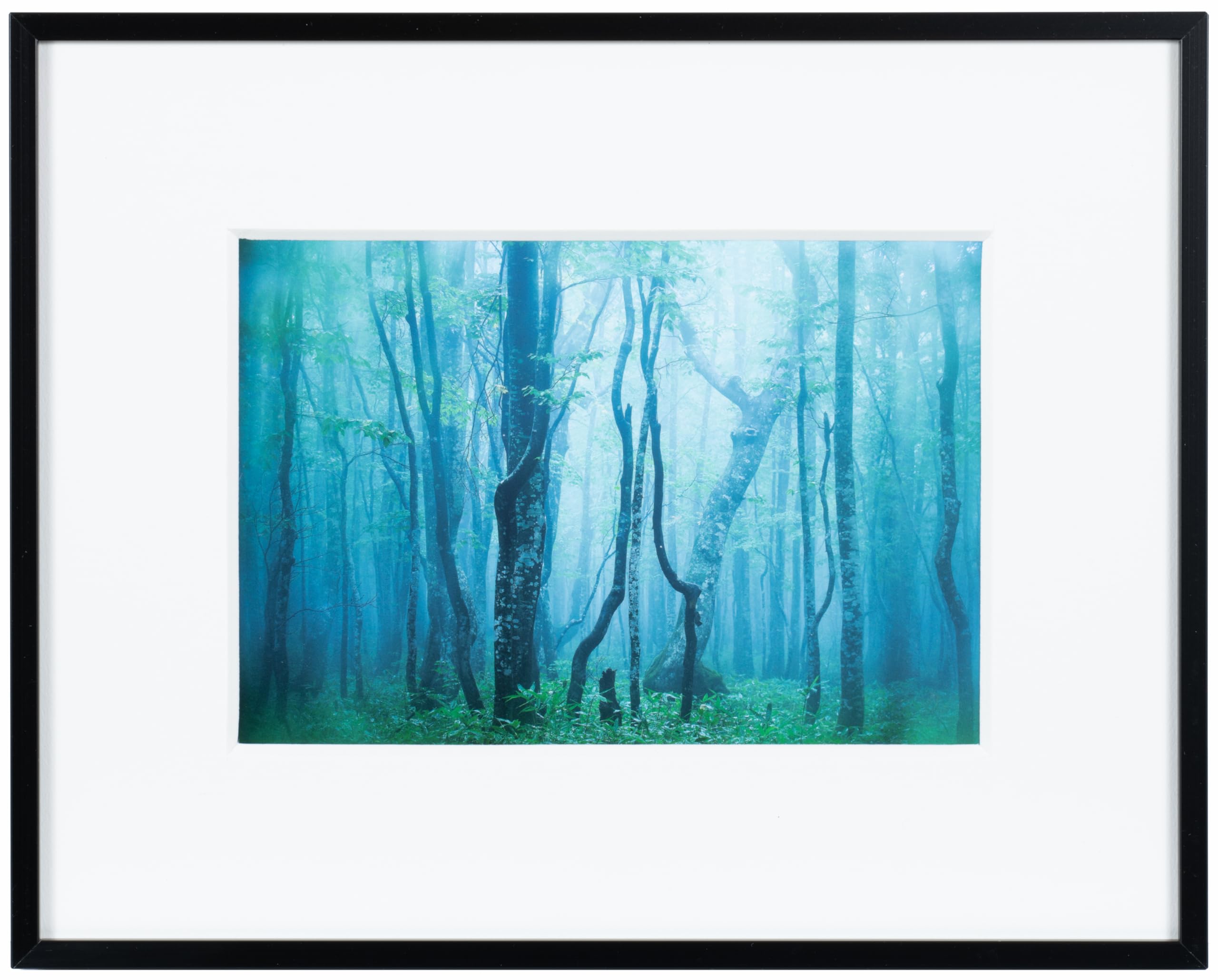 Kenko Gallery Frame AGY-2L-BW Black and White Acrylic Surface Aluminum Frame