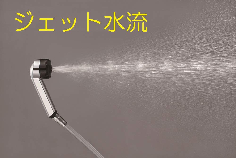 SANEI Company Sanei Faucet Shower Head Body Care Switching Plating Approximately Water Saving (former Name Seisakusho) Jet/Shower 25% PS3051-81XA-C
