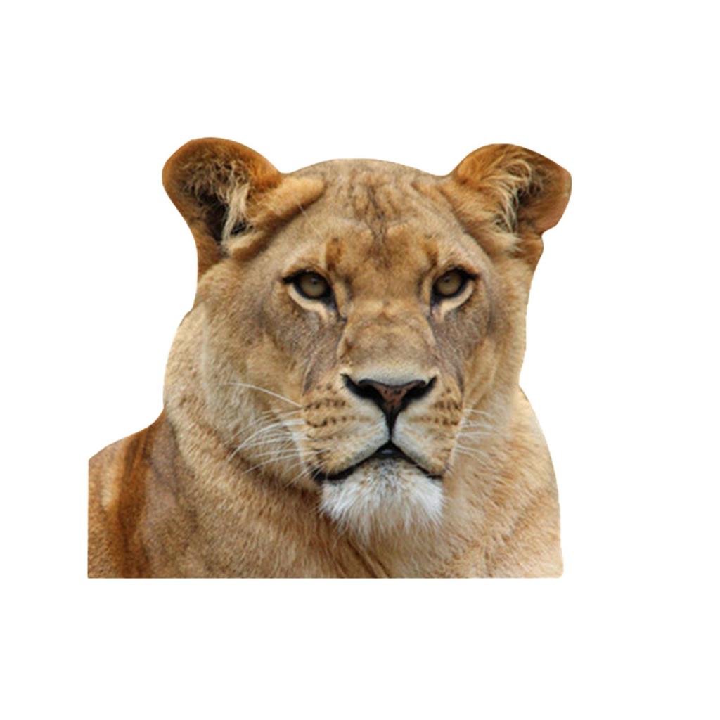 Car Window Glass Stickers Animal Series Vehicle Decal