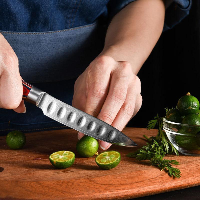 Kuchyňské nože z damaškové oceli Kuchyňské nože Kráječ ovoce Užitkový nůž Barva Dřevěná rukojeť Nástroje na vaření