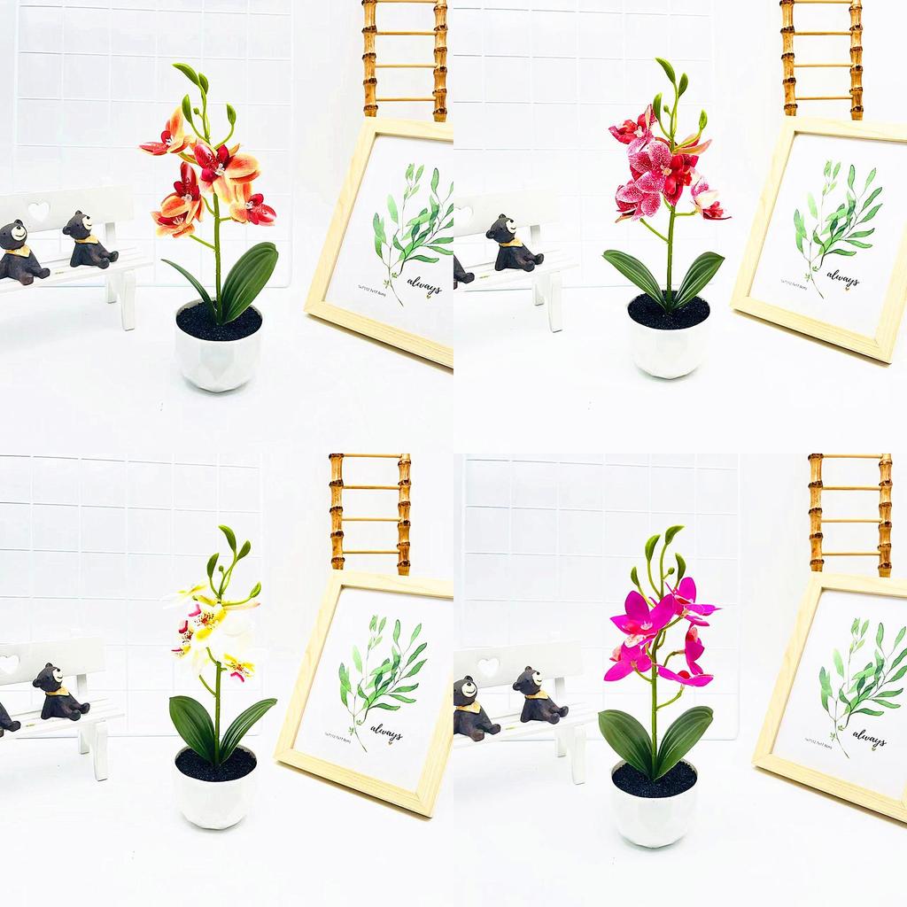 Simulated Phalaenopsis Potted Artificial Artificial Flower For Wedding Decor And Artistic Photography