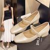 French Mary Jane Shoes Thick Heel Velcro Single Shoes Women's 2025 New Summer Beautiful Skirt Evening Small Leather Shoes