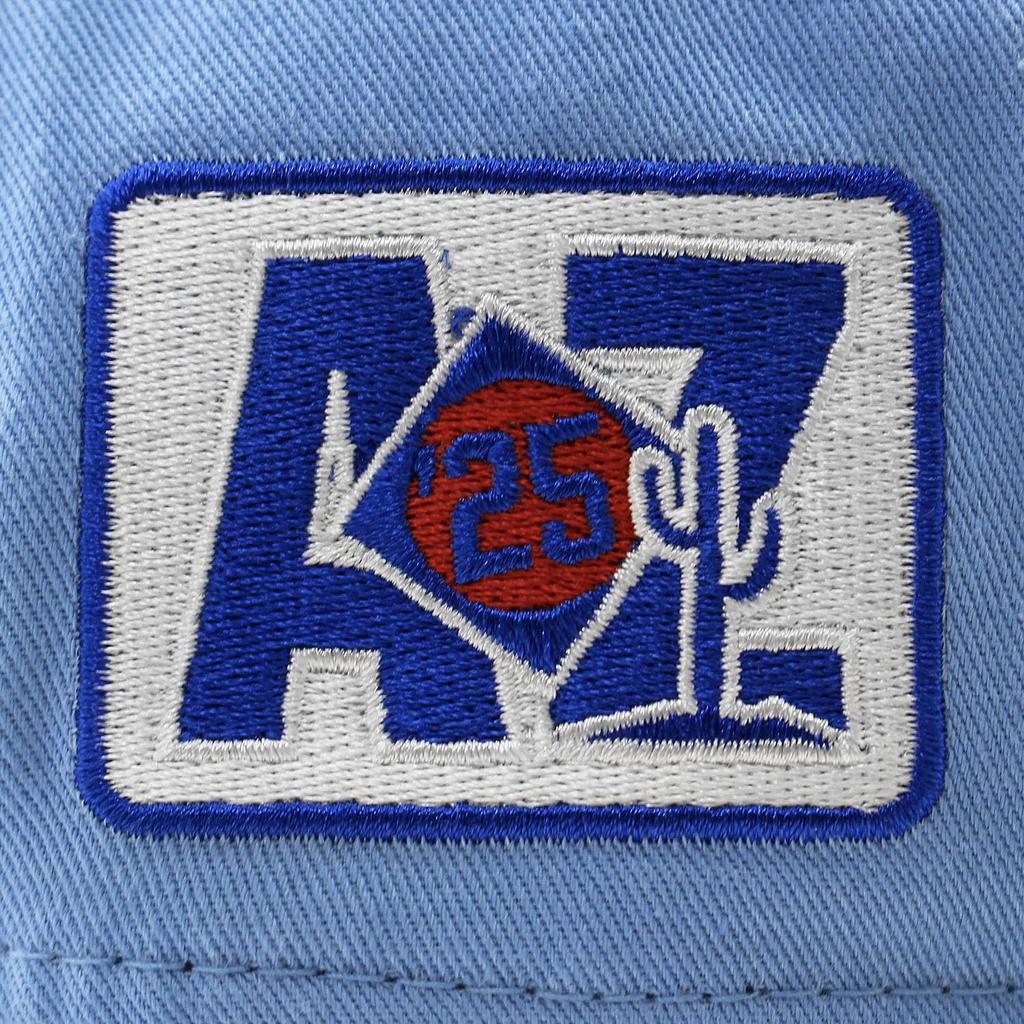 Spring Training Model Cap 9TWENTY Strapback Chicago Cubs MLB MLB SPRING TRAINING STRAPBACK CAP CHICAGO CUBS 920 Hat [New Era] [Used]