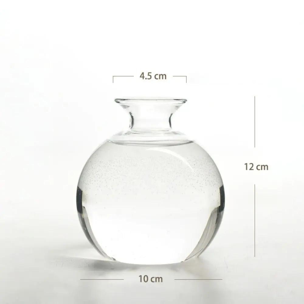 Transparent Avocado Hydroponic Vase Simple Glass Seed Starter Vase Plant Vase Aromatherapy Bottle Seed Growing Kit Nice Gift