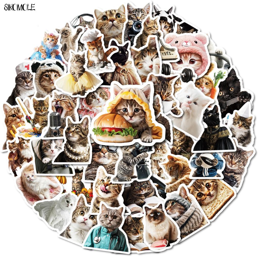10 30 50 Stück Lustige Süße Katzen Meme Tiere Aufkleber Ästhetisch Kawaii Abziehbild DIY Laptop Gitarre Skateboard Wasserdichter Graffiti Aufkleber