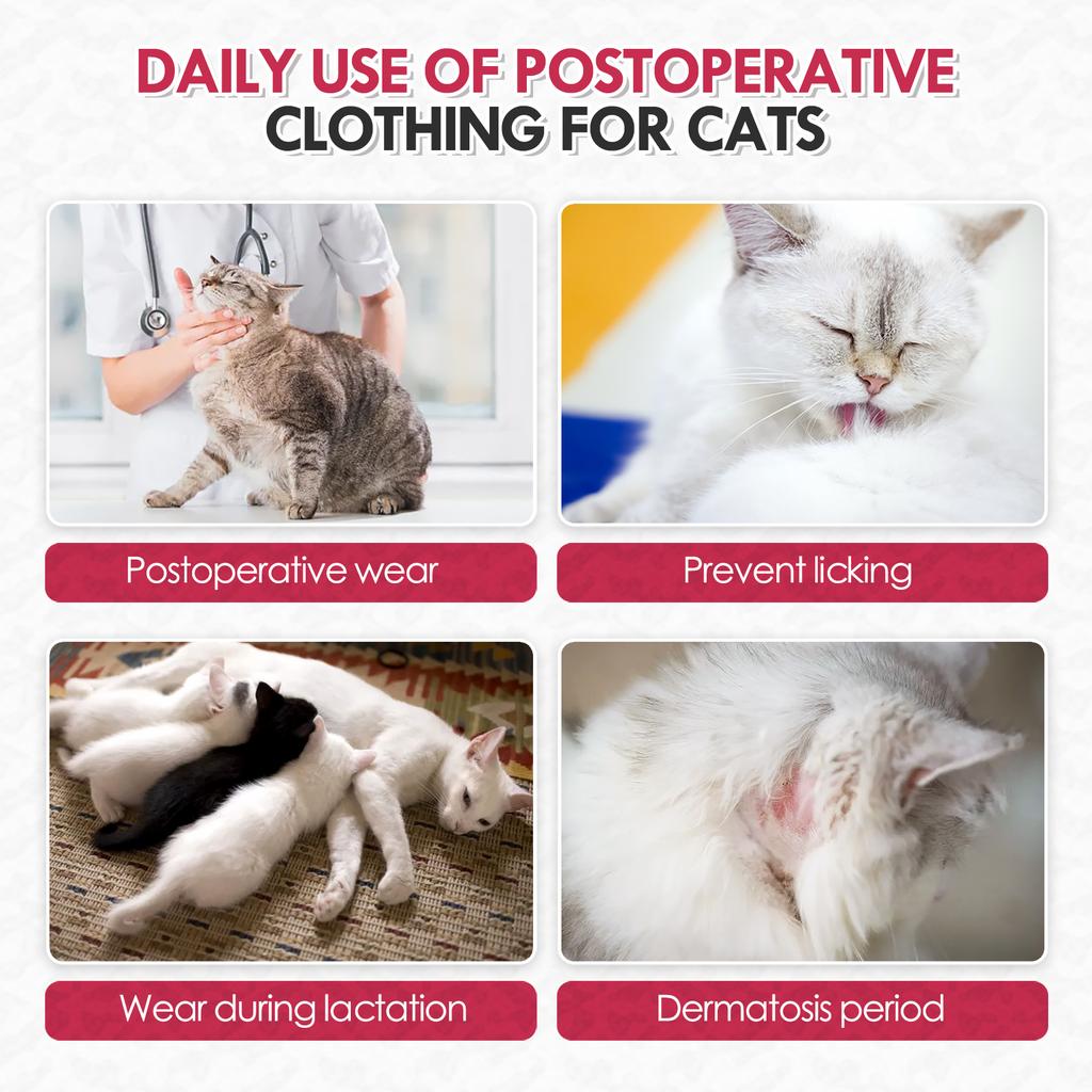 Breathable Cat Recovery Suit,Female Cat Onesie for Cats After Surgery ,Surgical Spay Suit Pet Body Suit Post Surgery E Collar