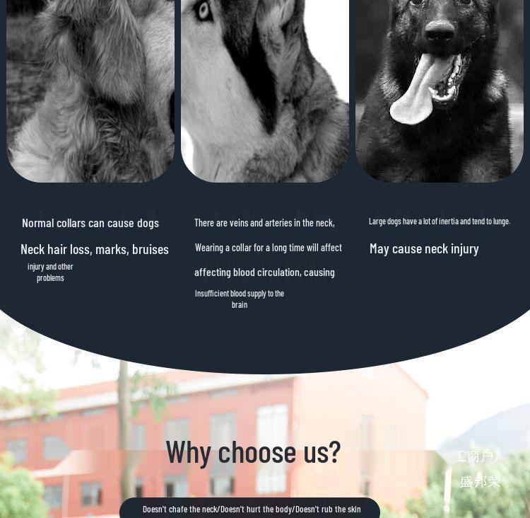 Golden Retriever & Labrador Medium-Large Dog Harness-Leash with Thick, Eight-Strand, Explosion-Proof Rope