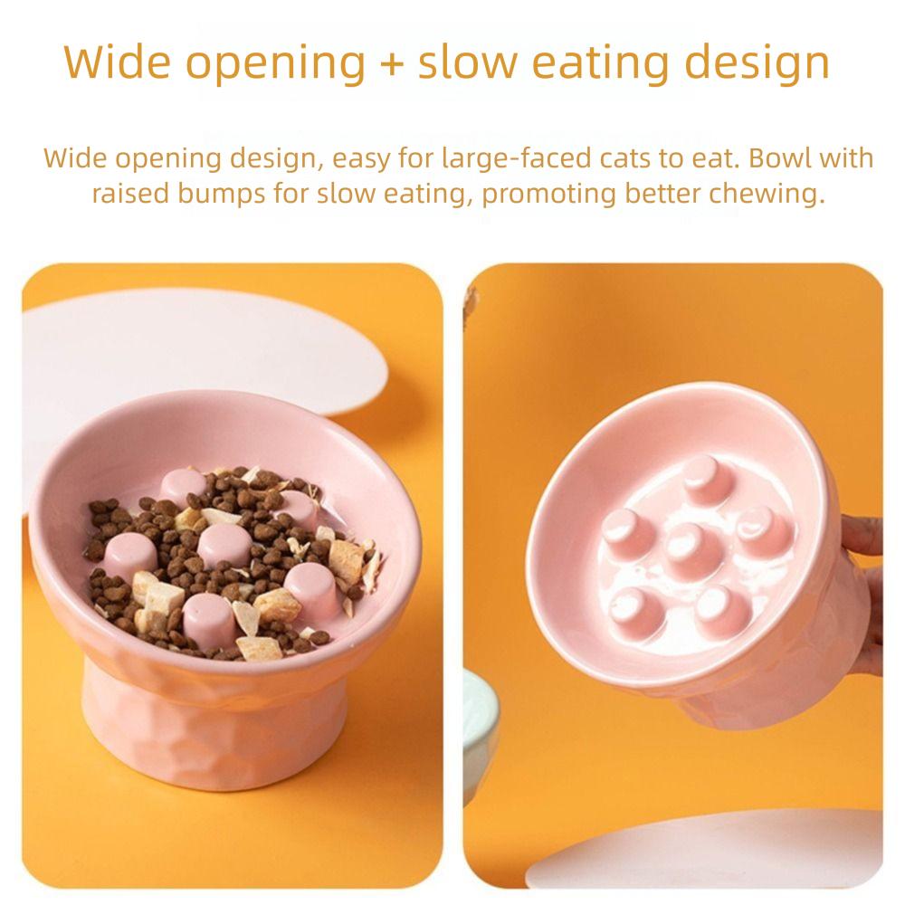 Anti Tipping Cat Slow Feeder Bowl Ceramic Pet Drinking Eating Feeder  for Kitten/Puppy/Bunny