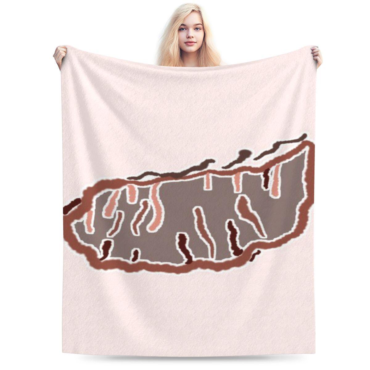 

Fold Personalized Warm Decorate Home An UltraSoft Micro Fleece Blanket 75x100cm 30x40in