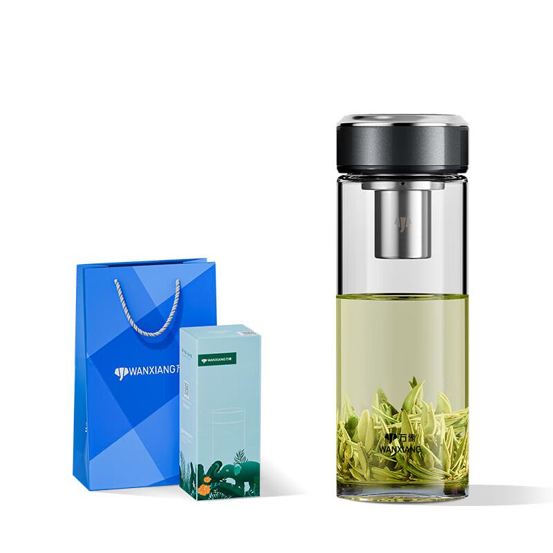 Visions Portable Glass Tea Tumbler