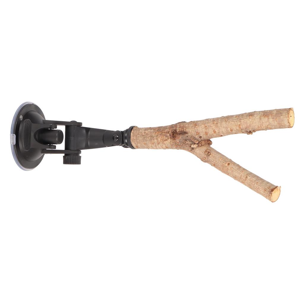 Bird Branch Perch Stand Training Interactive Prevent Slip Wooden Parrot Perch with Suction Cups for