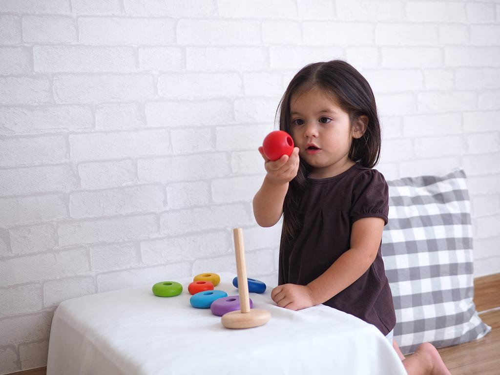 PLANTOYS 5124 Stapelring