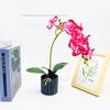Simulated Potted Phalaenopsis Artificial Flower Desktop Ornament Decoration