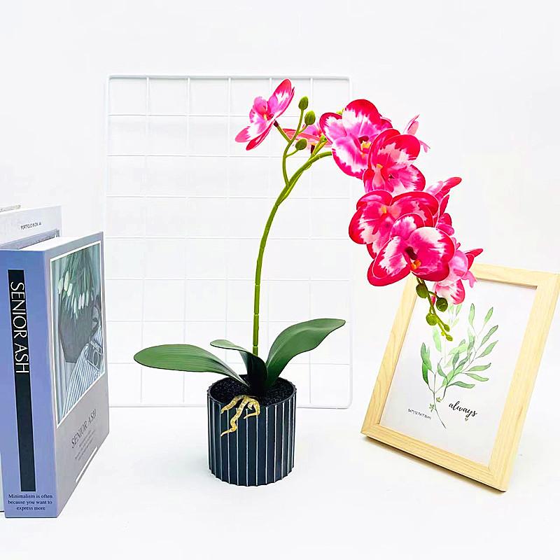 Simulated Potted Phalaenopsis Artificial Flower Desktop Ornament Decoration