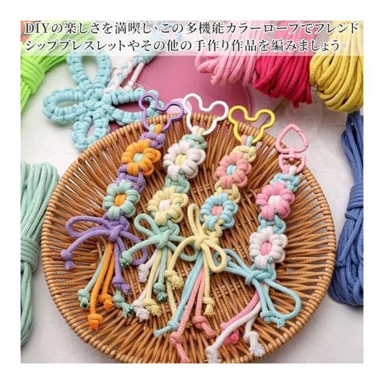7 Core Paracord Set of 12 (3m X 12 Colors) High Strength Multi-purpose Rope for Setting Up Tarps and Tents DIY Crafts Outdoor Camping Gardening (12