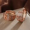 Geometric Pattern Sparkling Hoop Earrings for Women Elegant Hollow Out Round Earrings Fashion Daily Party Jewelry