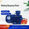 Wolong Nanyang YBX3-H Low-Voltage Marine Explosion-Proof Three-Phase Asynchronous Motor