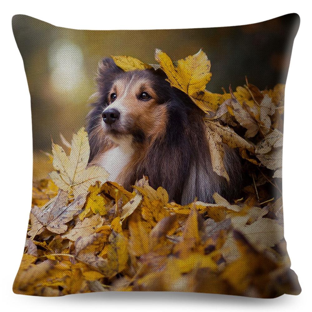 Shetland Sheepdog Cute Pet Animal Dog Printed Pillowcase Decor Cushion Cover for Sofa Home Car Polyester Pillow Case 45*45cm