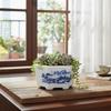 Deko & Wohnaccessoires – Dekorative Blumentöpfe