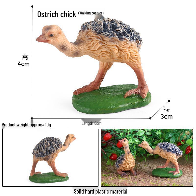 Tawny Owl Simulation Model Toy - Children s Cognitive Gift Ornament
