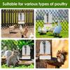 Chicken Oyster Shell Feeder Metal Rooster Farm Grit Dispenser Large Automatic Poultry Feeding Accessory for Duck Chicken Poultry
