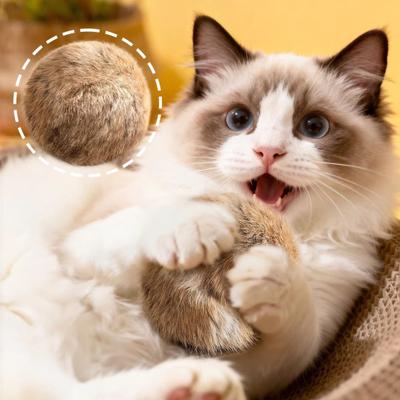 Flauschiger Ball Katzenspielzeug Weicher Flauschiger Kaninchenfellball Waschbar Lustiger Katzen-Jagdball Bunny-Kick