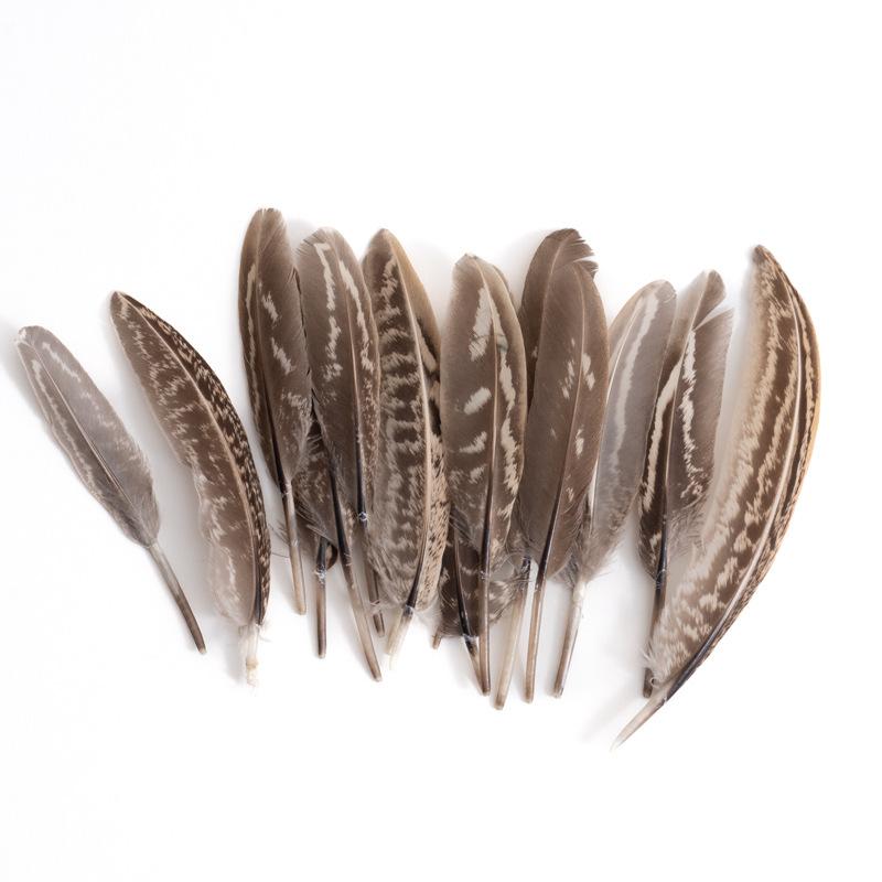 80 Natural Pheasant Feather Decorative Diy Jewelry Hair Accessories Material Cat Stick Toy Accessories