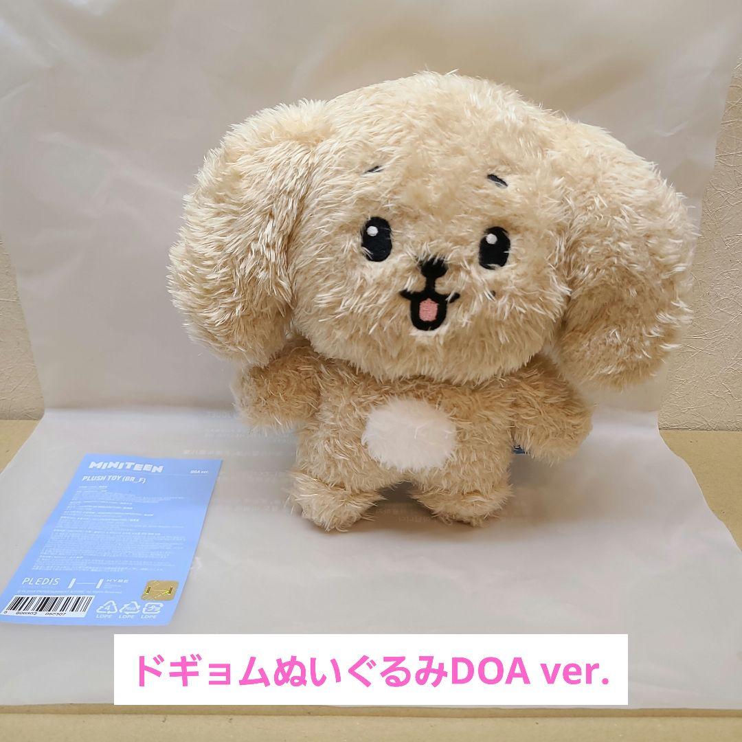 

[USED] MINITEEN Dogyeom Plush Doll Door Miniteen DK
