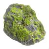 Rock for Potted Plant Displays and Class Projects