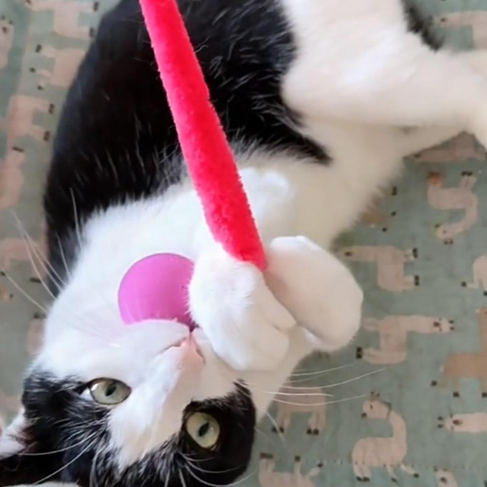 Plush Long Tail Ball Cat Toy Training Cat Interactive Ball Wood Ring Pet Toy