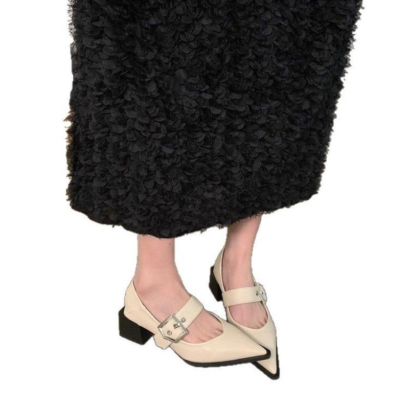 Fashion Hot Selling Retro Pointed Mary Jane Small Leather Shoes for Women 2025 Autumn and Winter  Korean Version of Chunky Heel Loafers