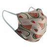 BB Wellness-Reusable Fabric Hygienic Mask 10-12 Years Watermelon