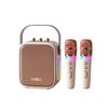 Hao Mu Ren D61 Dual Wireless Karaoke Mic & Bluetooth Speaker (CN version)