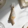 Ocean-Themed Conch-Shaped 3D Phone Dust Plug, Adds a Light Luxury Ocean Atmosphere to Electronic Devices for Daily Use
