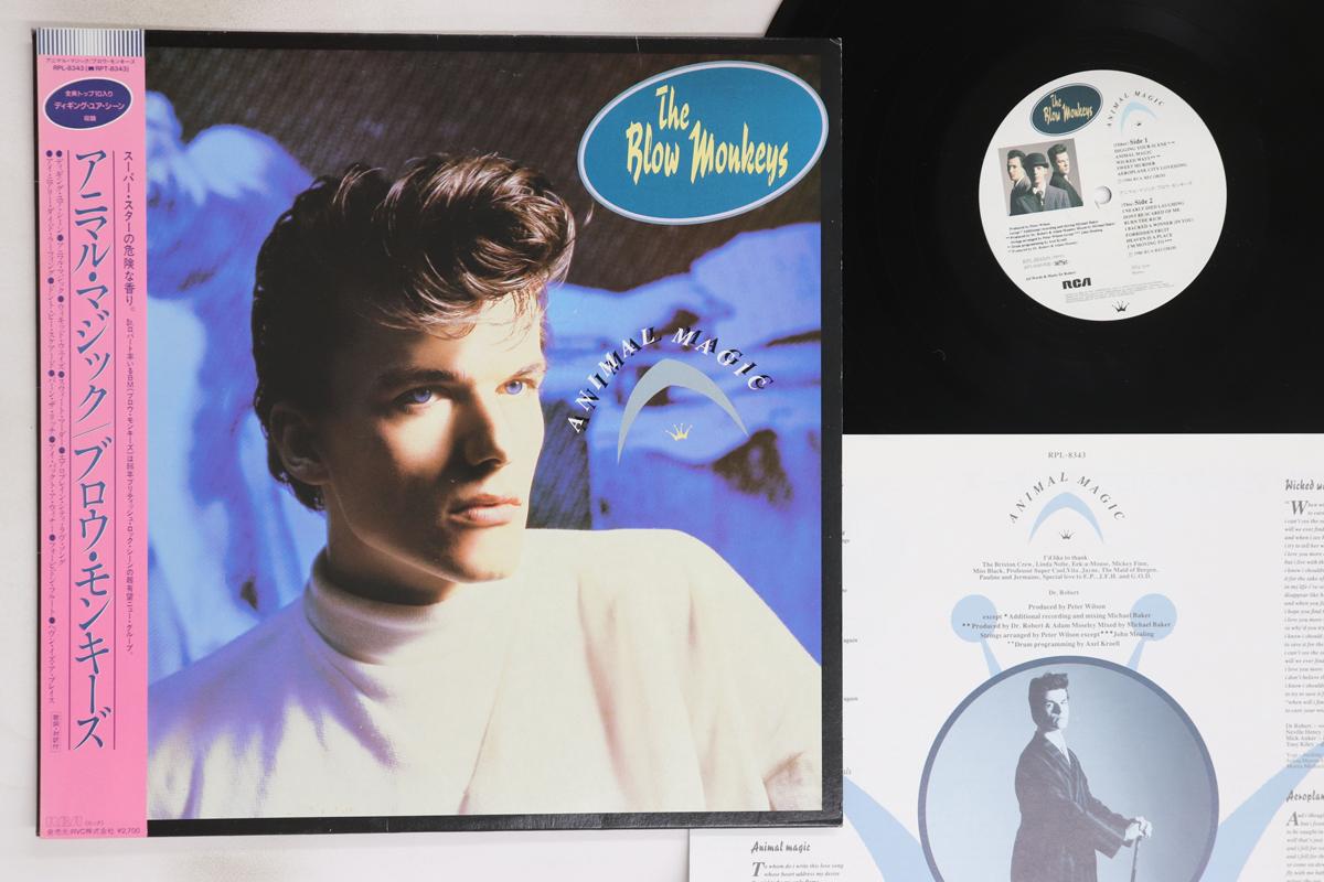 

LP Record BLOW MONKEYS - Animal Magic RPL8343 RCA 1986 Japan Obi Rock Used