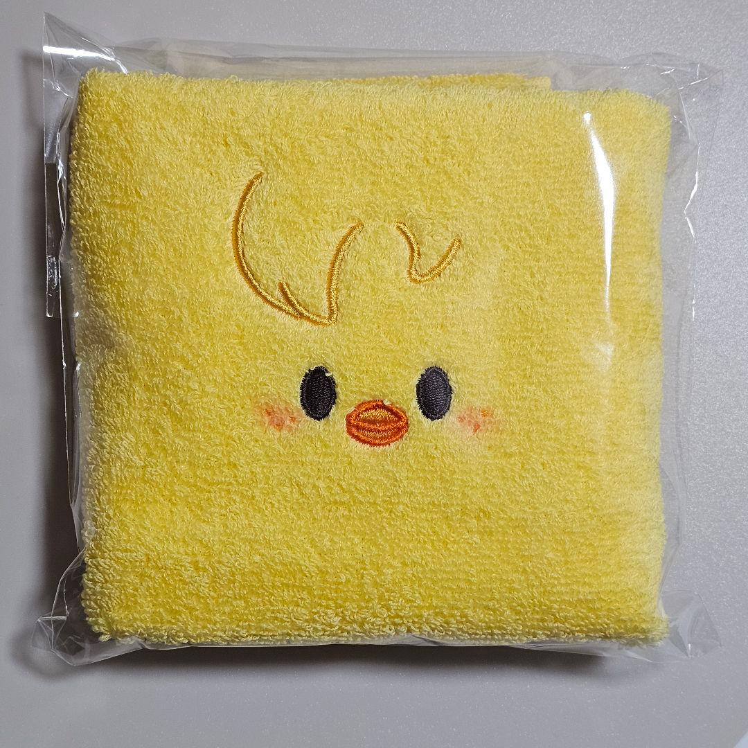 [USED] Stray Kids Fan Meeting SKZOO Towel BbokAri