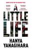 The A Little Life : The Million-Copy Bestseller Book