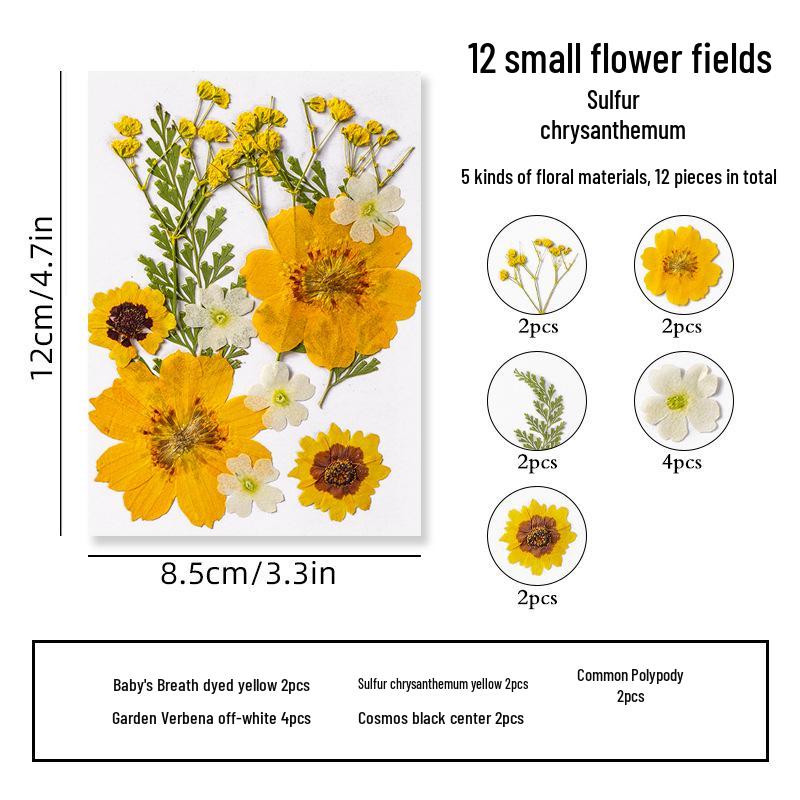 DIY Dried Flower Specimen Sticker Set for Kids: Handmade Pressed Flower Frames & Resin Bookmark Craft Kit