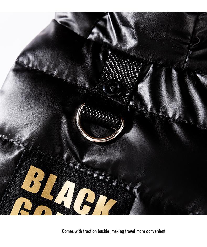 Graphene Black Gold Series Dog Down Jacket for Autumn/Winter - Warm Pet Clothes for Small Breeds Like Teddy, Bichon, and Pomeranian