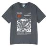 Hokkaido Volcano Illustration T-shirt Retro Okiyo-e Style Japanese Mountain Art TShirt Unisex Short Sleeve Cotton Casual Streetwear