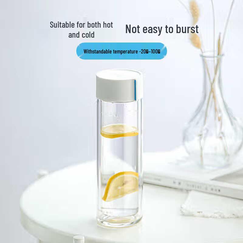 Chahua Double Wall Glass Tea Infuser Bottle