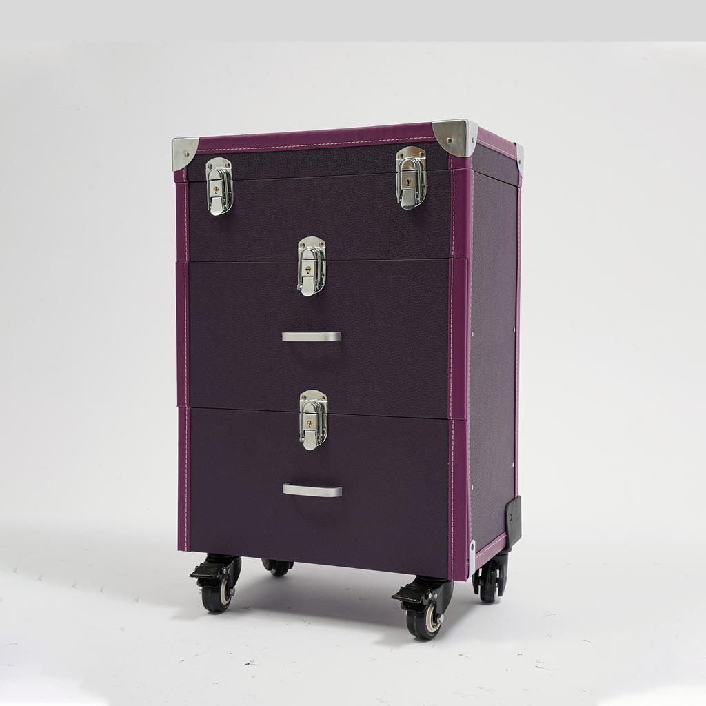 Large Rolling Makeup Case On Wheels, Professional Mobile Organizer Cart with Drawers for Makeup Artists, Cosmetics & Nail Polish