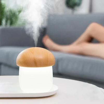 USB Rechargeable Air Purifier Mist Maker Gift Air Humidifier LED Ambient Light Spray Humidifier