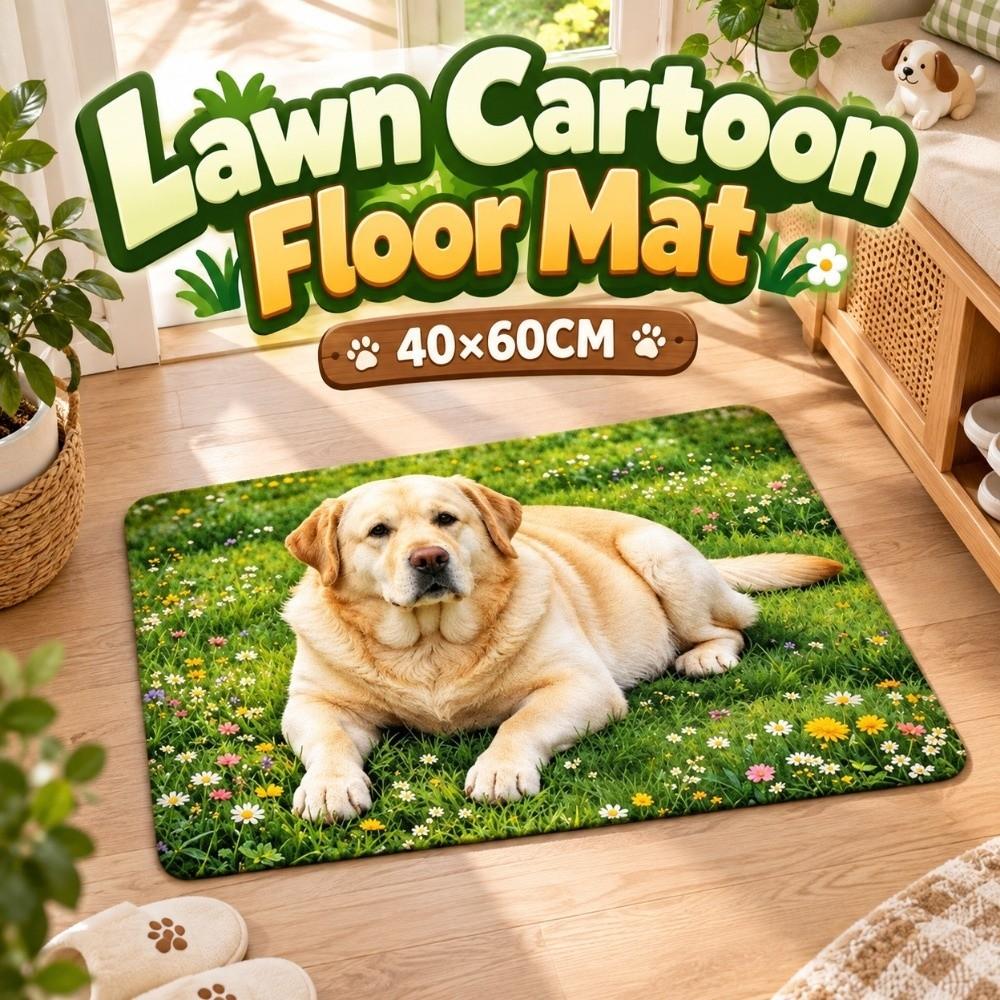 40*60cm Bathroom Carpet Corgi / Teddy Dog Floor Mat New Bedroom Door Small Rug Table Bedside