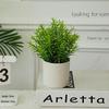 European Fresh Simulation Green Plant Potted Ornament for Home Decor